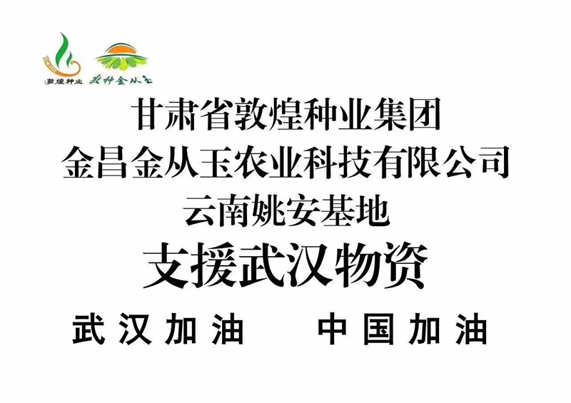 眾志成城 抗擊疫情 敦煌種業金從玉在行動